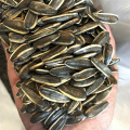 sunflower seeds kernels from xinjiang